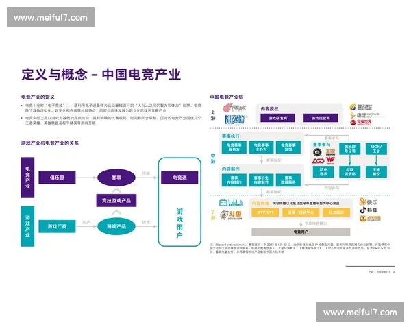 打造高校电竞预备役体系促进青年电竞人才培养与职业化发展路径研究